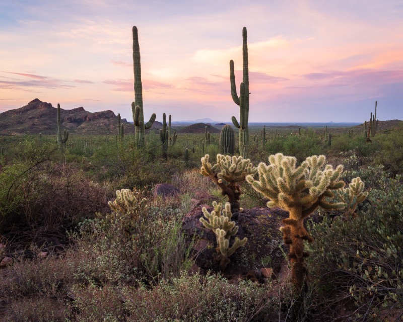 San Tan Valley